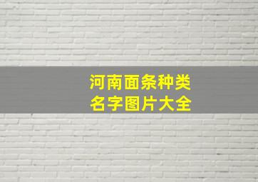 河南面条种类 名字图片大全